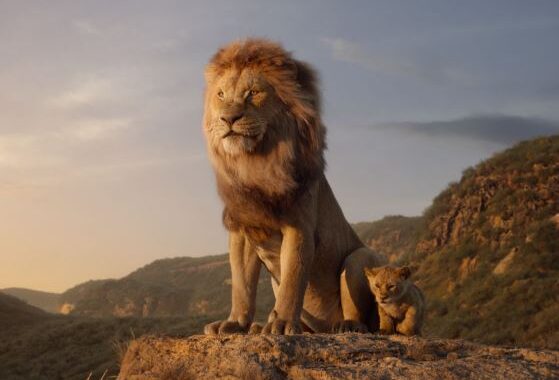Ο Βασιλιάς των Λιονταριών στον θερινό κινηματογράφο
